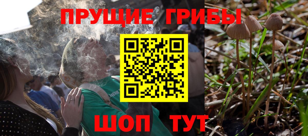 продажа наркотиков  Вход с VPN  Артёмовский  Псилоцибиновые грибы GOLDEN TEACHER 